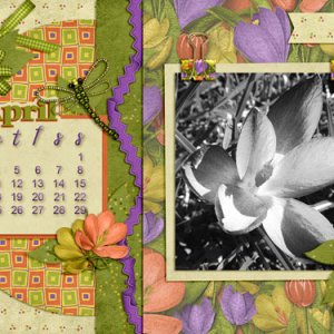 April2018DesktopChallenge