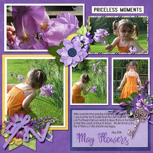 May Flowers