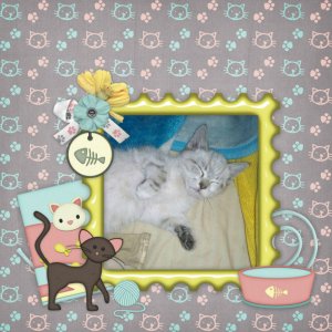 Fur-baby1