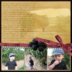 Blackberries