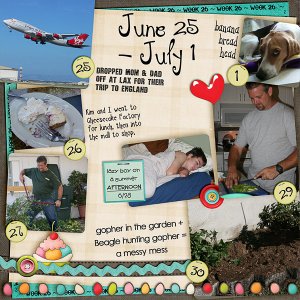 Lisa's Week Twenty Six