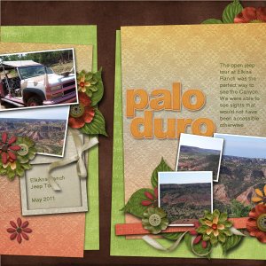 Palo Duro