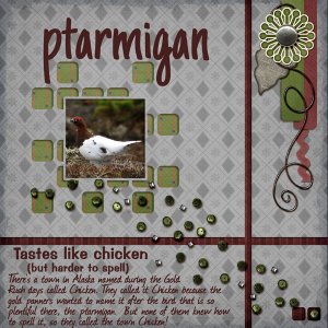 ptarmigan
