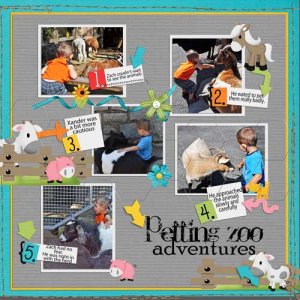 Petting Zoo
