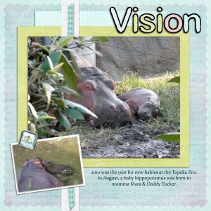 Vision