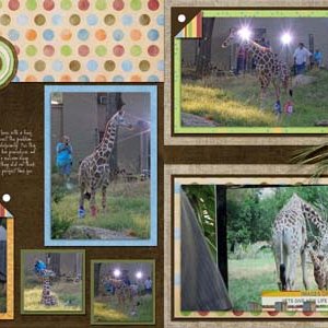 Zoo - Hope