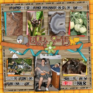 Lisa's Week Twenty Eight