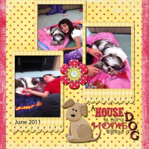 House Dog