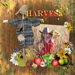 Harvest time