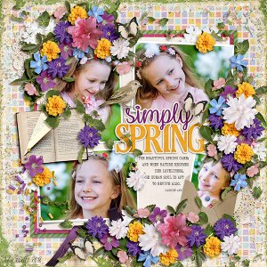 simply spring