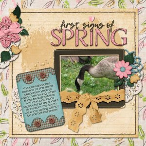 Signs of Spring