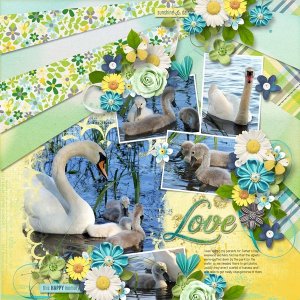 NSD FWP - Daisy Love