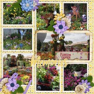 Flower-_-Garden-Festival