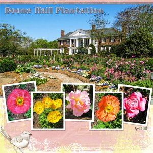 Boone Hall Plantation
