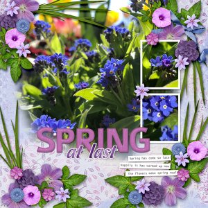 Spring At Last