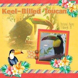Keel-Billed Toucan