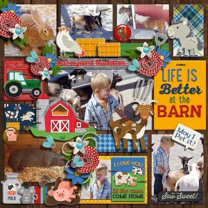 Life is better at the barn