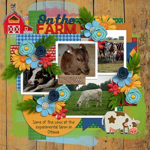 On The Farm