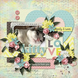 kitty love