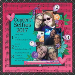 Concert Selfies 2017