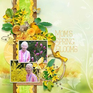 Mom's Spring Blooms