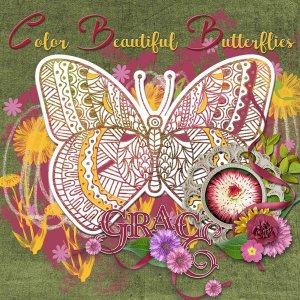 Color Beautiful Butterflies