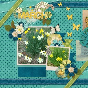 Daffodil Two