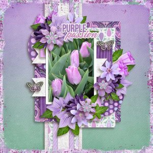 purple-passion-aimee-h-Tinc