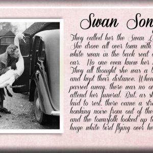 Swan Song