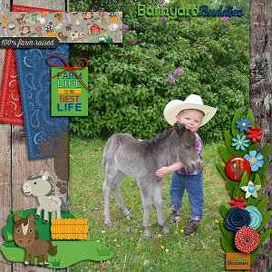 On the Farm