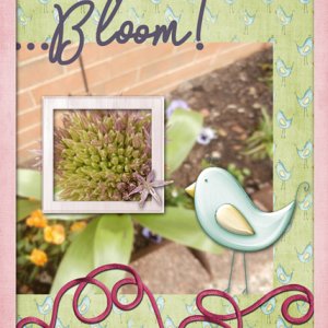 Ready to Bloom