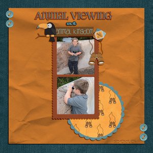 Animal Viewing