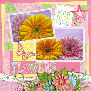 Flowers