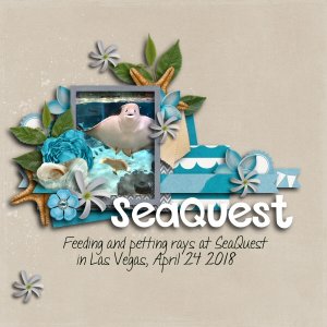 SeaQuest