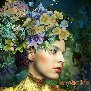 Imagination