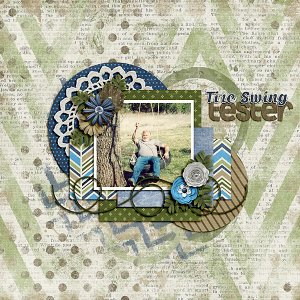 Tire Swing Tester