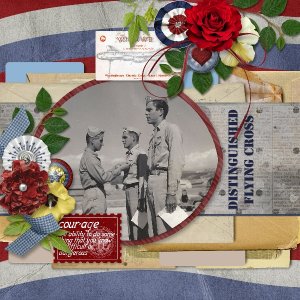 Distinguished Flying Cross