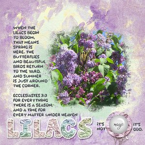 Lilacs