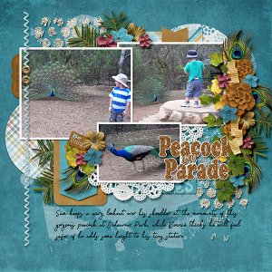 Peacock on Parade