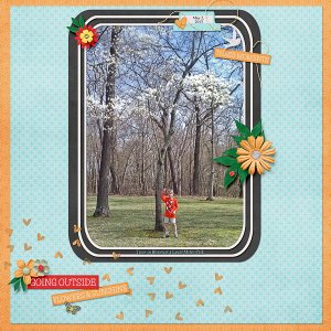 Trees in Bloom