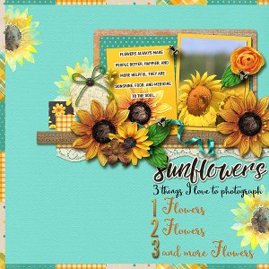 Sunflowers