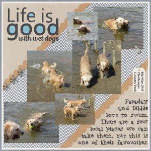 Life is good with wet dogs