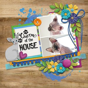 Queen of the House