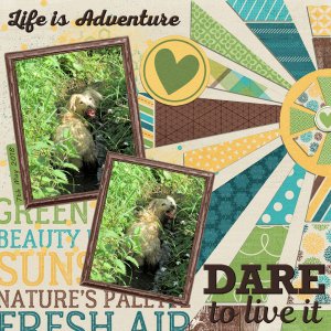 Life is adventure