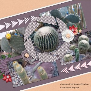 sandie03-MLS-OhSnap Cacti