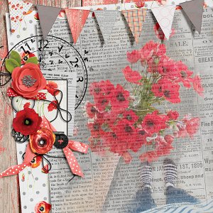 Poppies