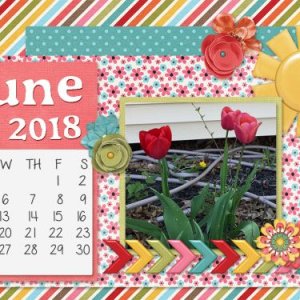 June Desktop
