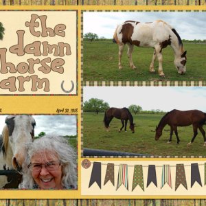 the damn horse farm