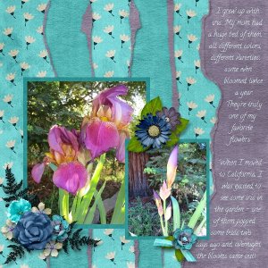My Beautiful Iris - Take 2!
