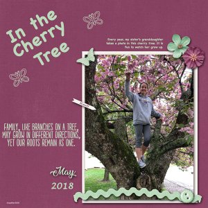 In The Cherry Tree